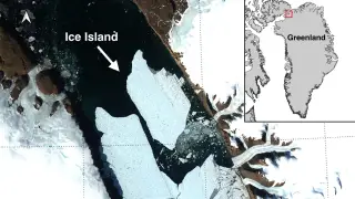 Image via ScienceDaily