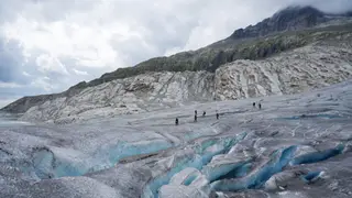 Image via New Scientist