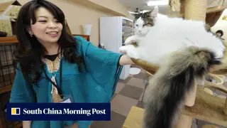 Image via South China Morning Post