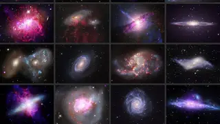 Image via Scientific American