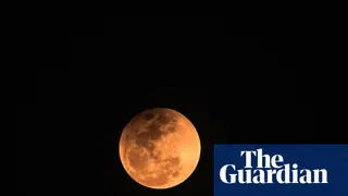 Image via The Guardian