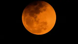 Image via The Hill