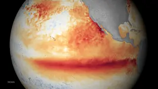 Image via Scientific American