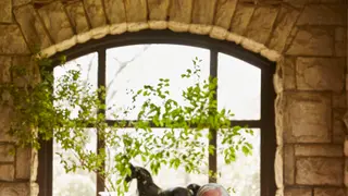 Image via Architectural Digest