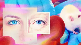Image via MIT Technology Review
