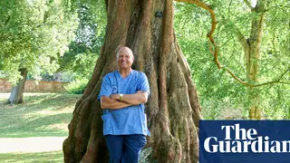 Image via The Guardian