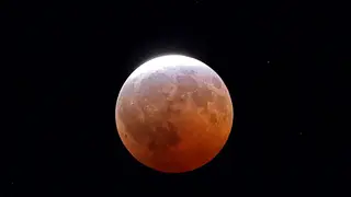 Image via Scientific American
