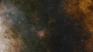 Image via New Scientist