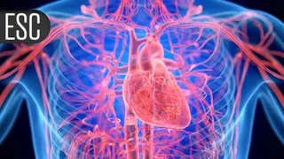 Image via MedPage Today