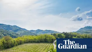 Image via The Guardian