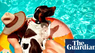 Image via The Guardian