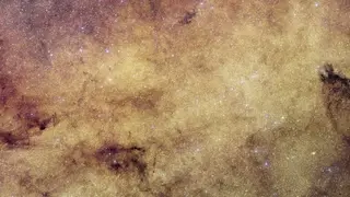 Image via Scientific American