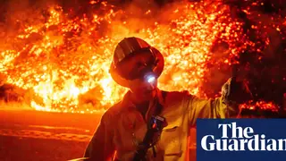 Image via The Guardian