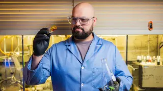 Image via ScienceDaily