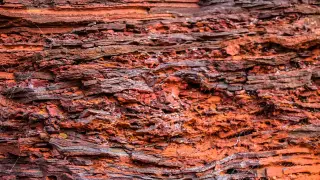 Image via ScienceDaily