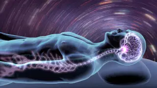 Image via ScienceDaily