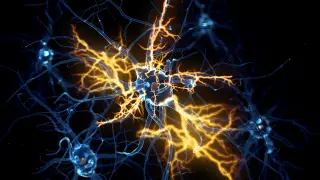 Image via ScienceDaily