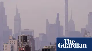 Image via The Guardian