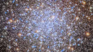 Image via Live Science