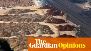 Image via The Guardian