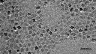 Image via ScienceDaily