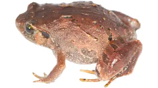 Image via ScienceDaily