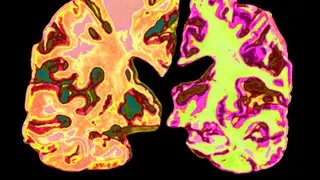 Image via New Scientist