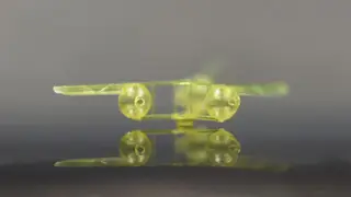 Image via Live Science