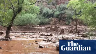 Image via The Guardian