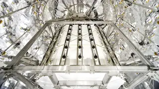 Image via Scientific American