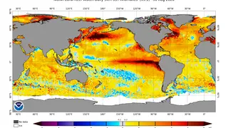 Image via Ars Technica