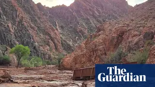 Image via The Guardian