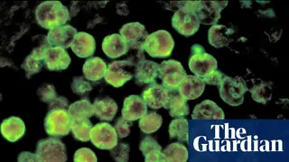 Image via The Guardian