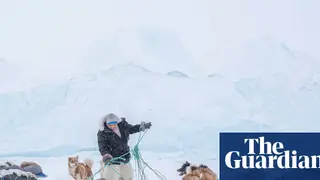 Image via The Guardian