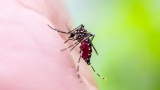 Image via Live Science