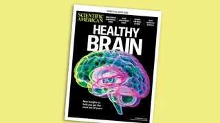 Image via Scientific American
