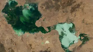 Image via Live Science