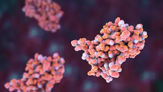 Image via Scientific American
