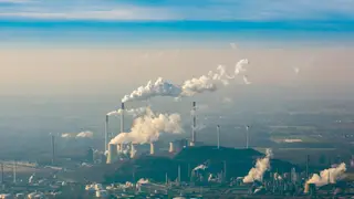 Image via New Scientist