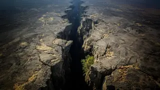Image via ScienceDaily