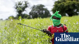 Image via The Guardian