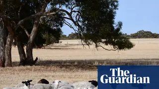 Image via The Guardian