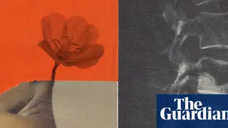 Image via The Guardian