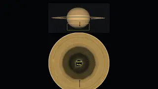 Image via New Scientist