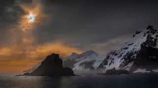 Image via New Scientist