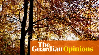 Image via The Guardian