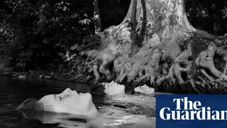 Image via The Guardian