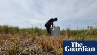 Image via The Guardian