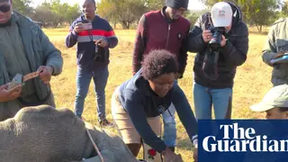 Image via The Guardian
