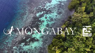Image via Mongabay